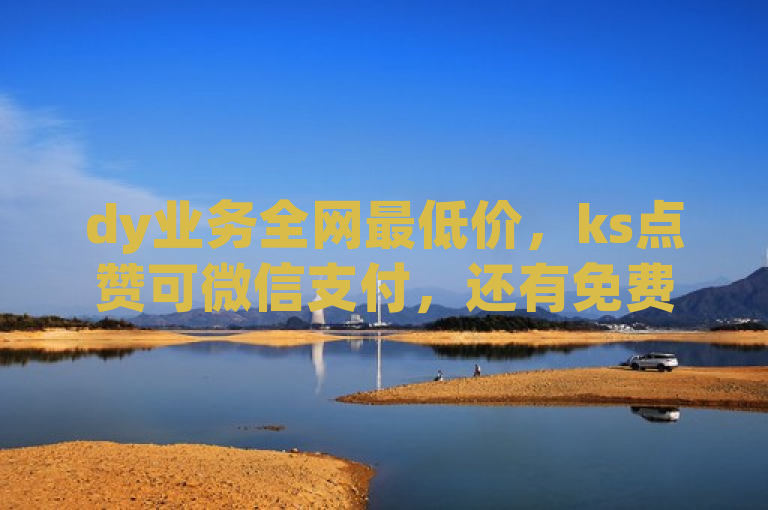 dy业务全网最低价，ks点赞可微信支付，还有免费播放量网站。