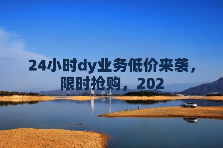 24小时dy业务低价来袭，限时抢购，2025必学揭秘！