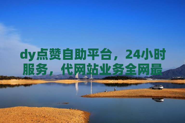 dy点赞自助平台，24小时服务，代网站业务全网最低价揭秘！