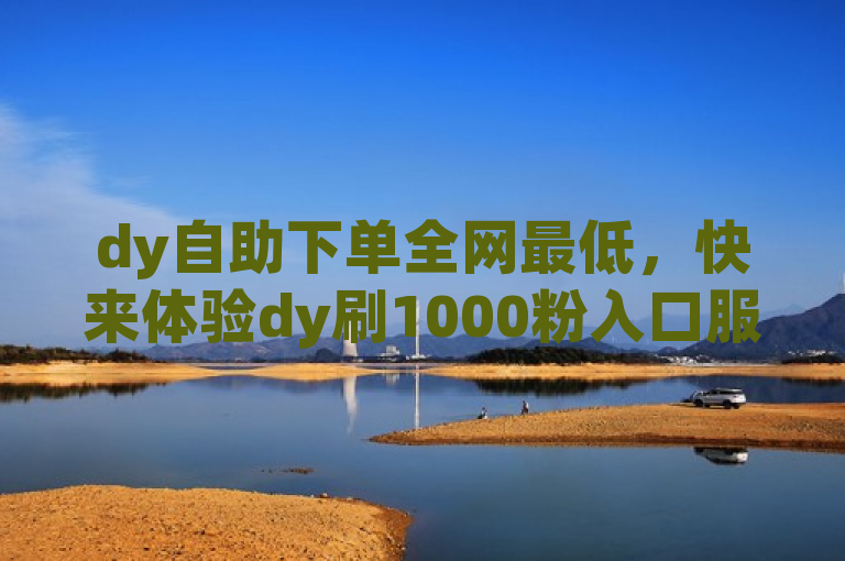 dy自助下单全网最低，快来体验dy刷1000粉入口服务吧！