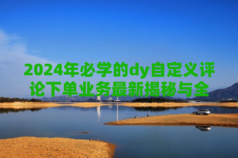 2024年必学的dy自定义评论下单业务最新揭秘与全面解读！