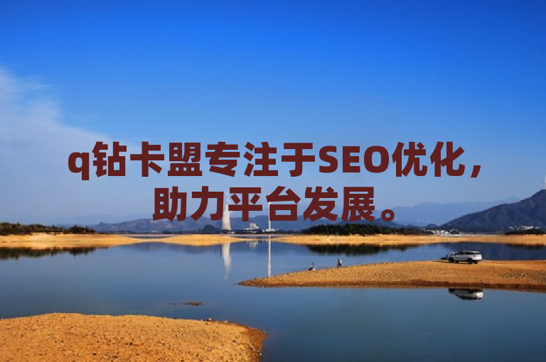 q钻卡盟专注于SEO优化，助力平台发展。