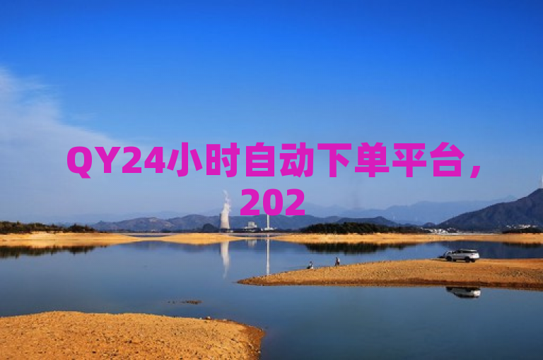 QY24小时自动下单平台，2025必学的在线自动下单服务！