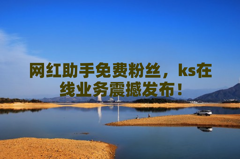 网红助手免费粉丝，ks在线业务震撼发布！