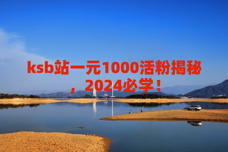 ksb站一元1000活粉揭秘，2024必学！